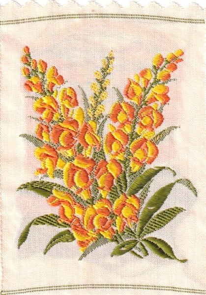 画像1: シガレットシルク001　Antirrhinum (1)